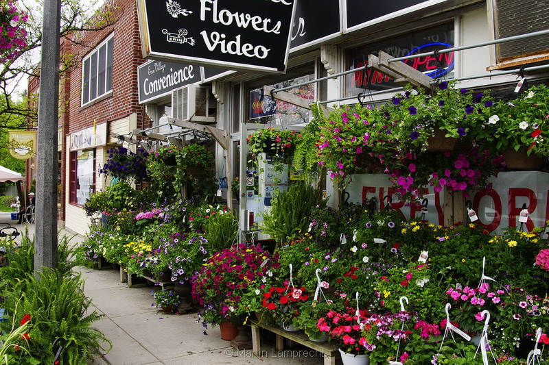 Flower Shop